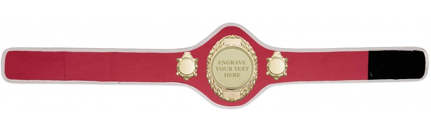 CHAMPIONSHIP BELT PRO286/G/ENGRAVE/G - AVAILABLE IN 10+ COLOURS